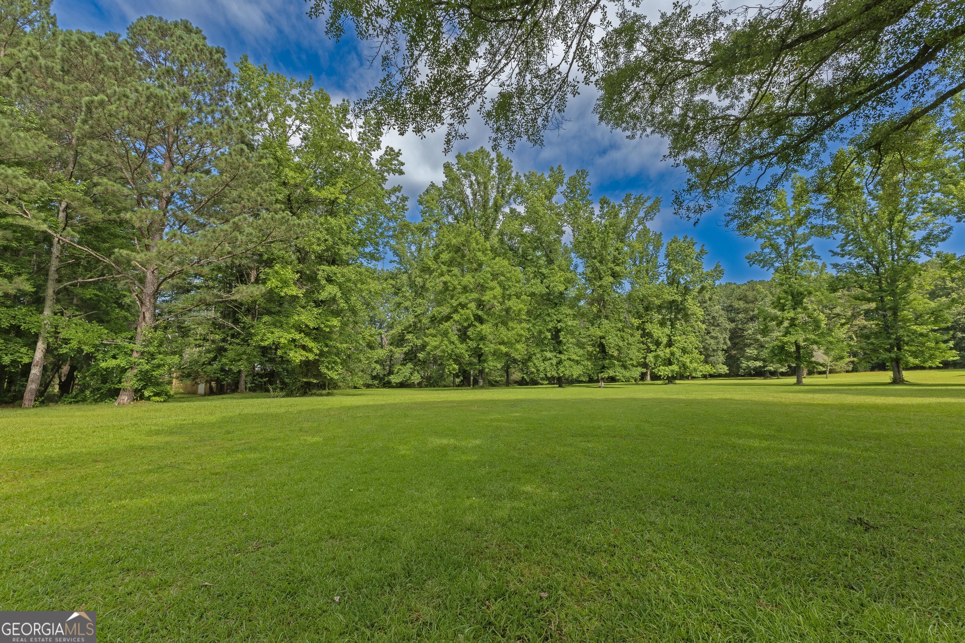 183 Inman Road Fayetteville, GA 30215 - Photo 49 of 64