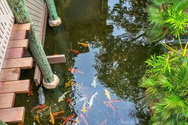 a view of swimming pool with a city view