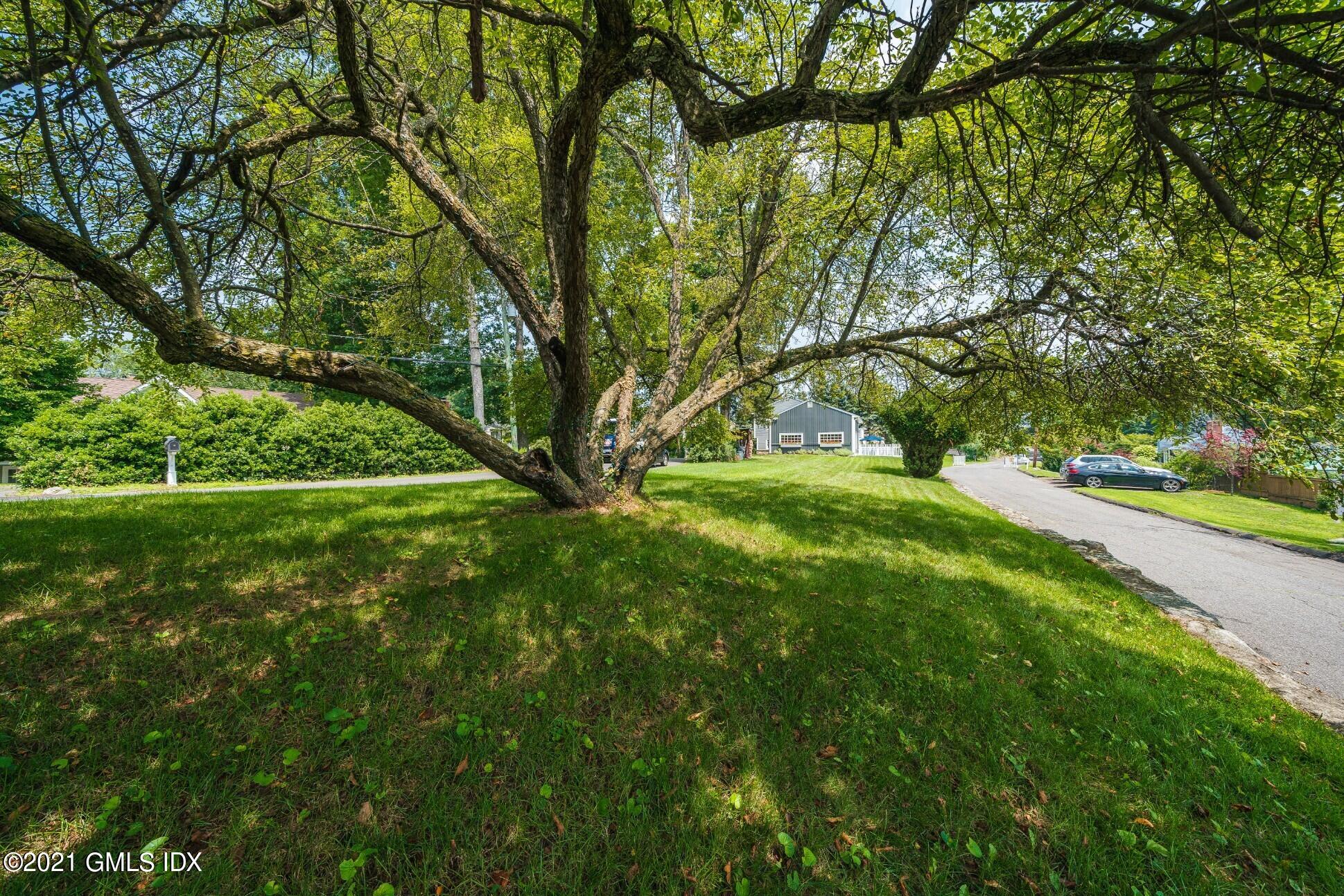 47 Cognewaugh Road Cos Cob, CT 06807 - Photo 39 of 44 a view of green field with trees