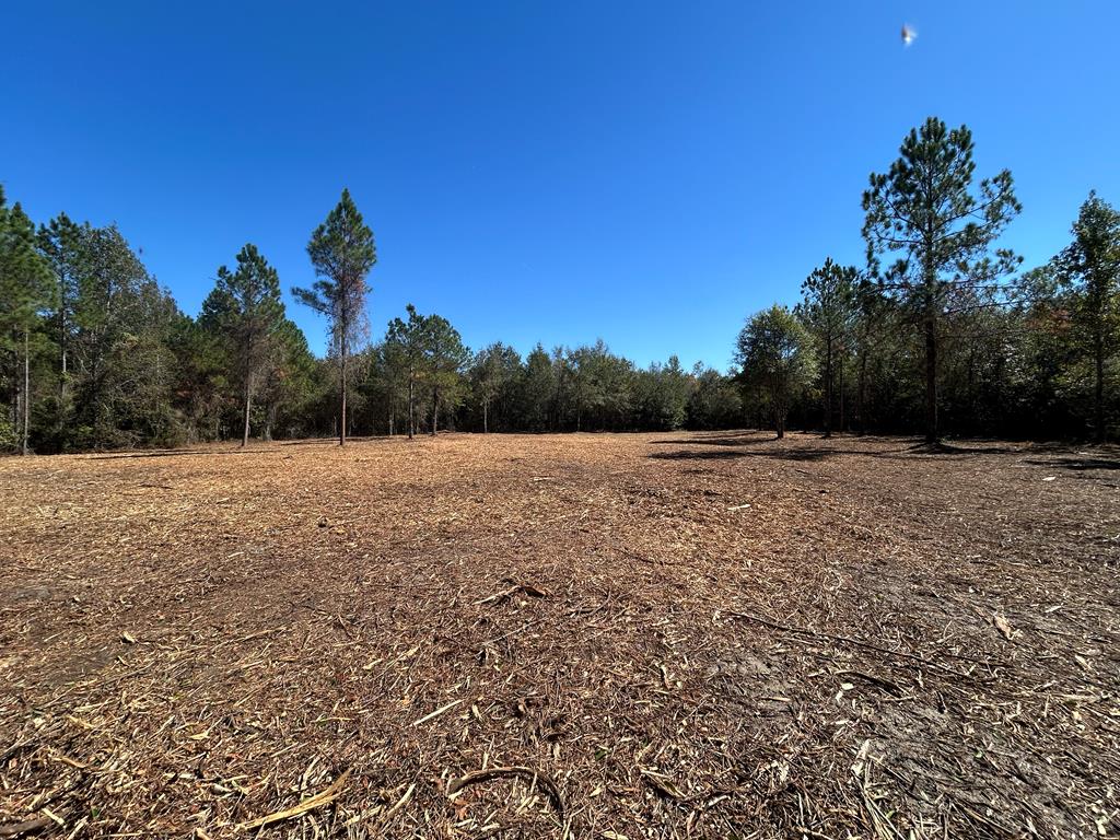 20-ac Coot Adams Road Ashford, AL 36312 - Photo 1 of 28