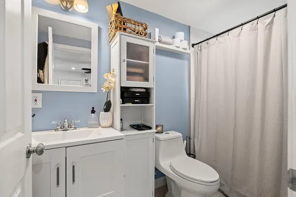 a bathroom with a sink a toilet a mirror and shower curtain