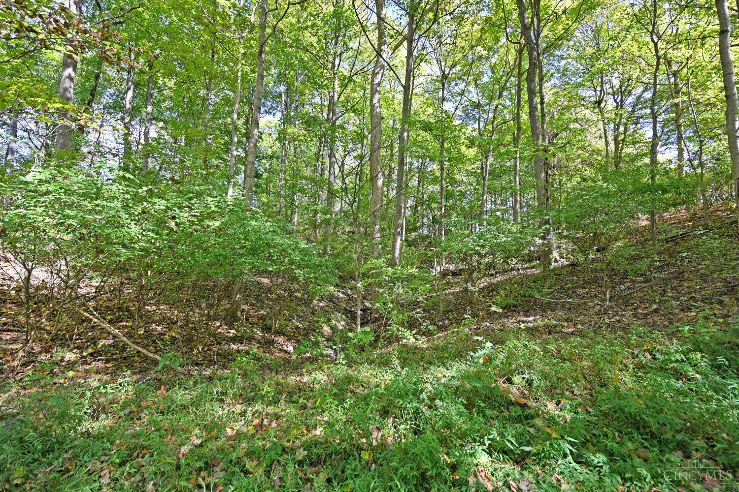 3301 Mt Carmel Road Cincinnati, OH 45244 - Photo 16 of 30