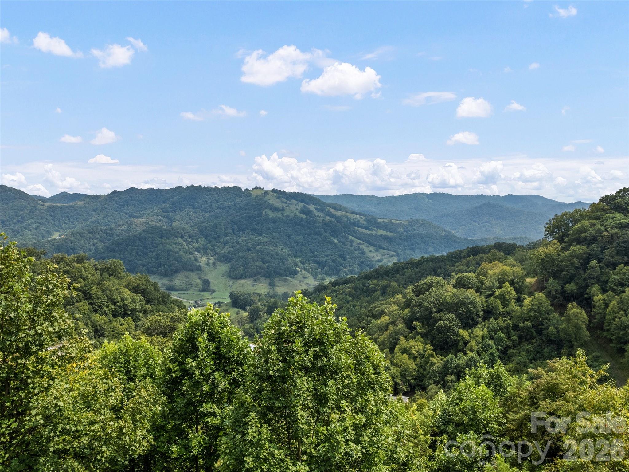 1225 Clark Road Clyde, NC 28721 - Photo 7 of 38