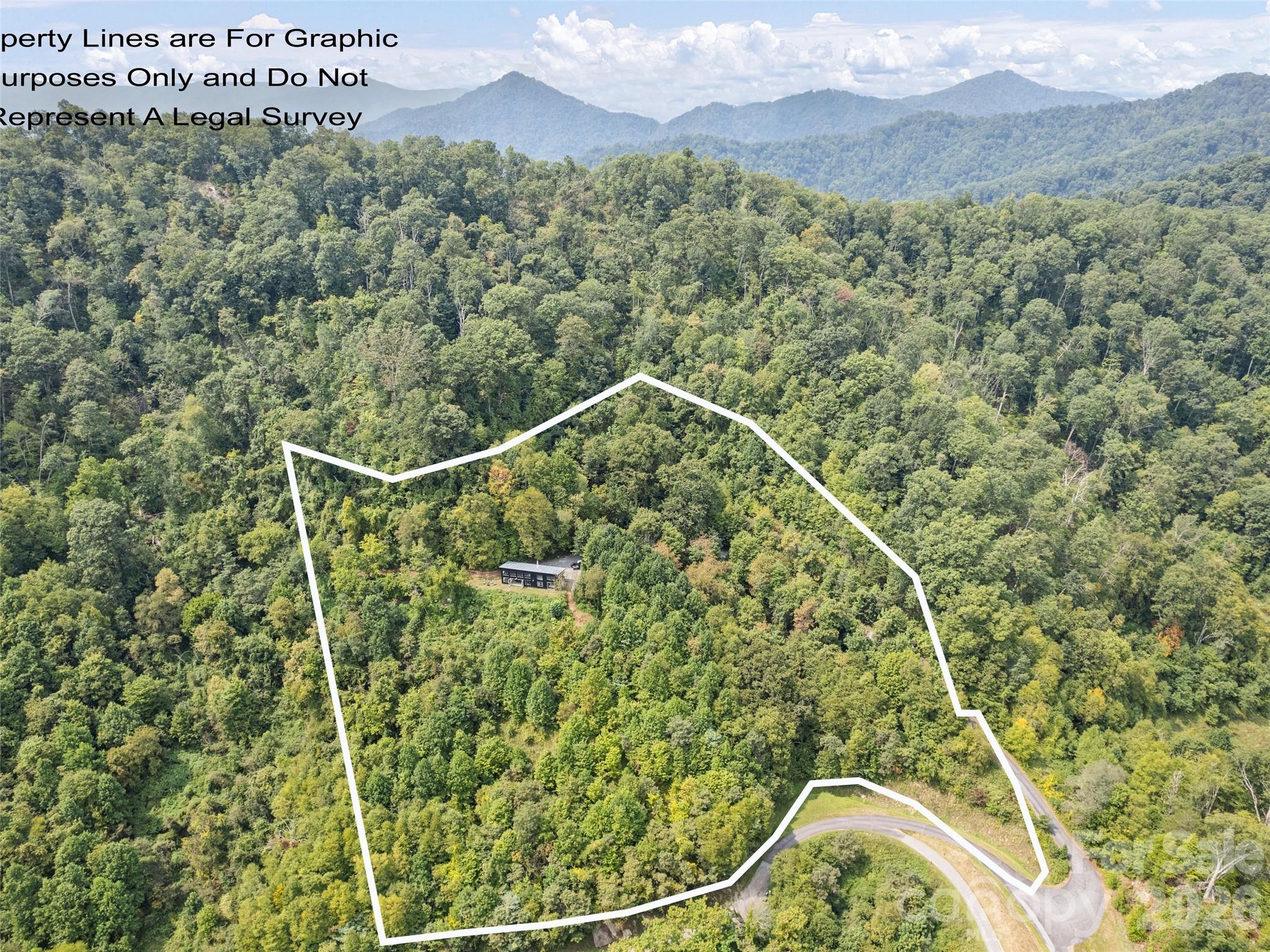 1225 Clark Road Clyde, NC 28721 - Photo 9 of 38