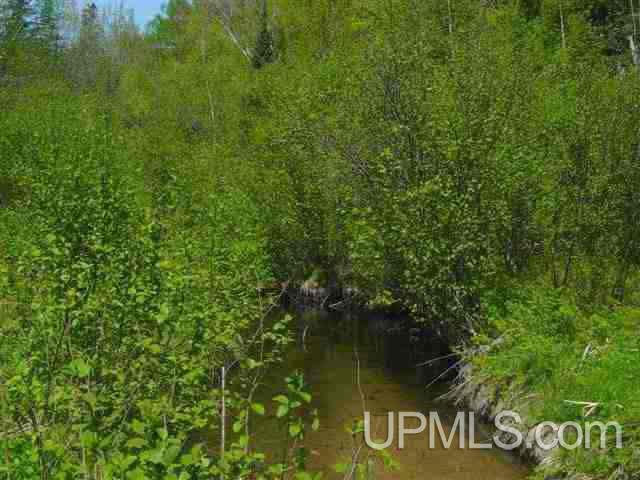 Tbd Menge Creek Road Lanse, MI 49908 - Photo 3 of 9