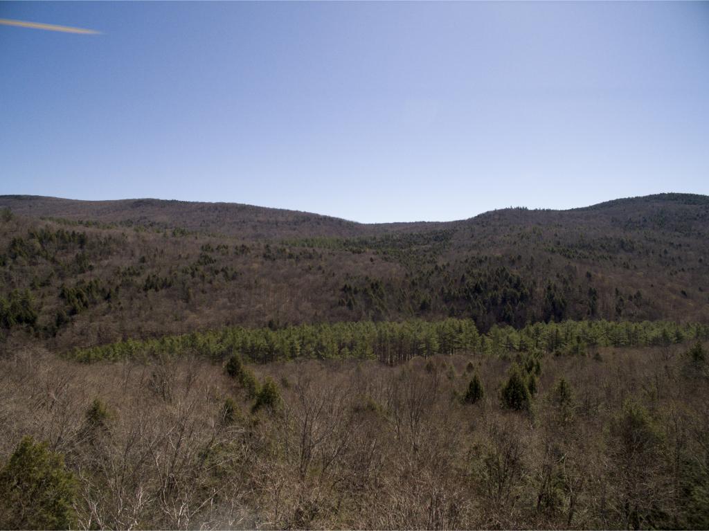 0 Cole Pond Road Jamaica, VT 05343 - Photo 1 of 14 Gallery Image 1