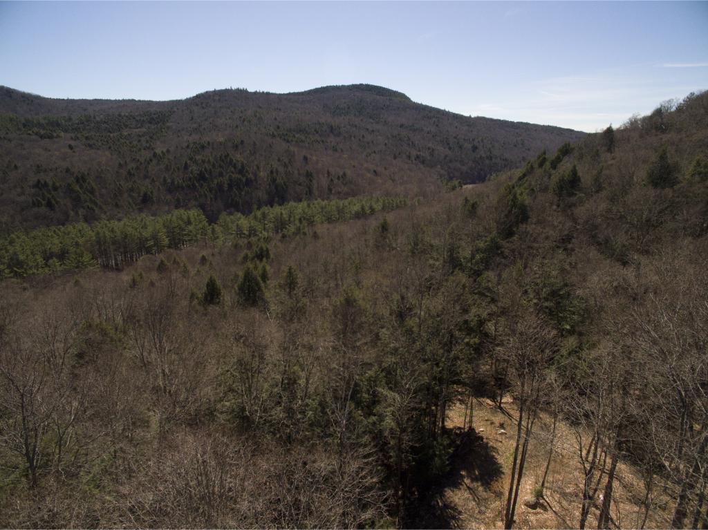 0 Cole Pond Road Jamaica, VT 05343 - Photo 3 of 14 Gallery Image 3