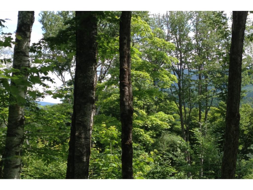 0 Cole Pond Road Jamaica, VT 05343 - Photo 6 of 14 Gallery Image 6