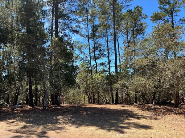 a view of a house with a trees
