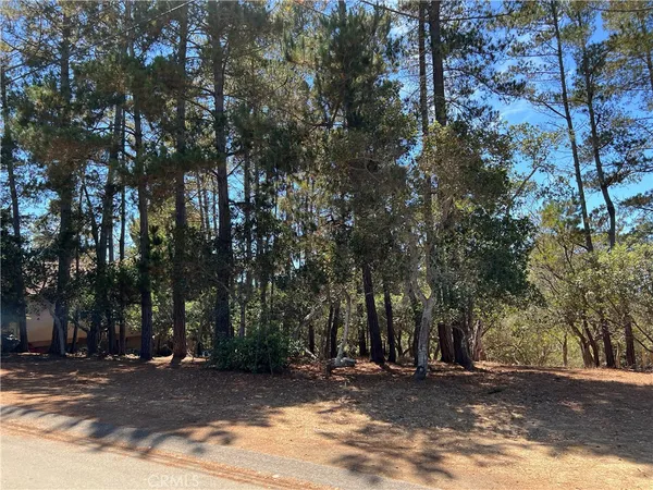 a view of a outdoor space with trees