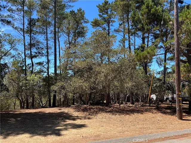 a view of a backyard of the house