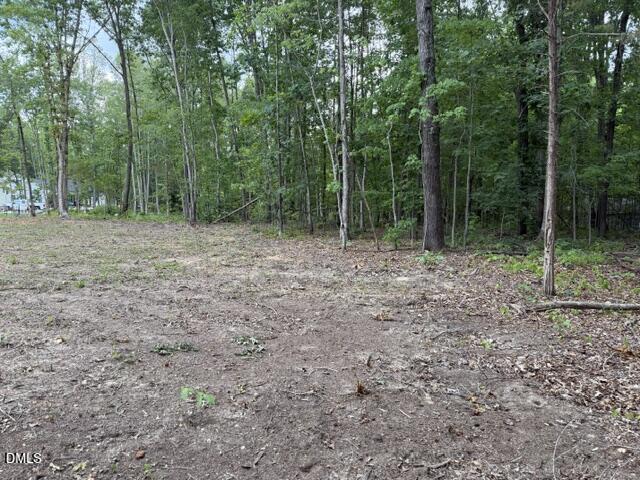 8 Heath Lane Roxboro, NC 27574 - Photo 7 of 13