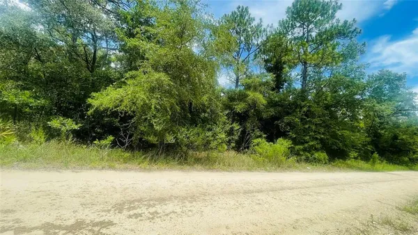 $33,750 | 487 Northeast 102nd Court, Bronson, FL 32621