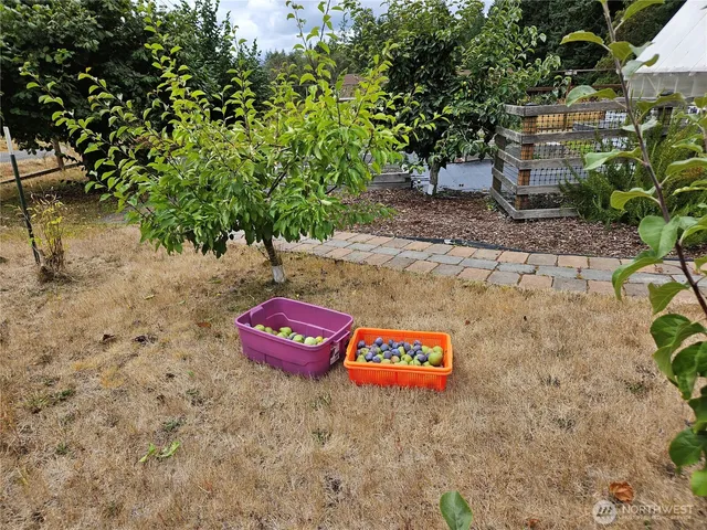 a view of small garden