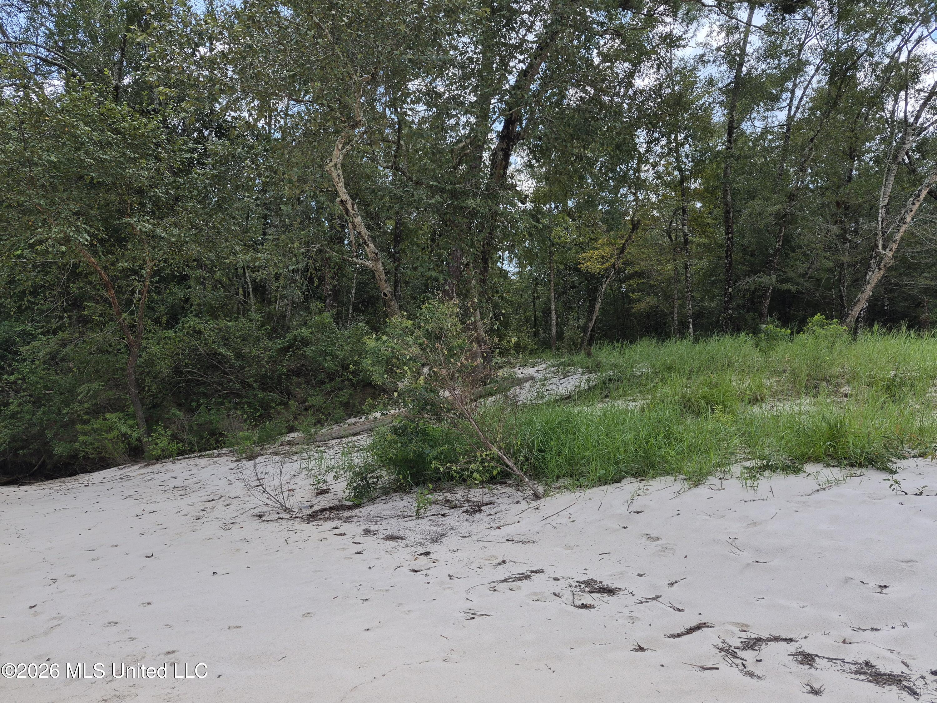 13756 River Road Gulfport, MS 39503 - Photo 57 of 93 Cleared East End