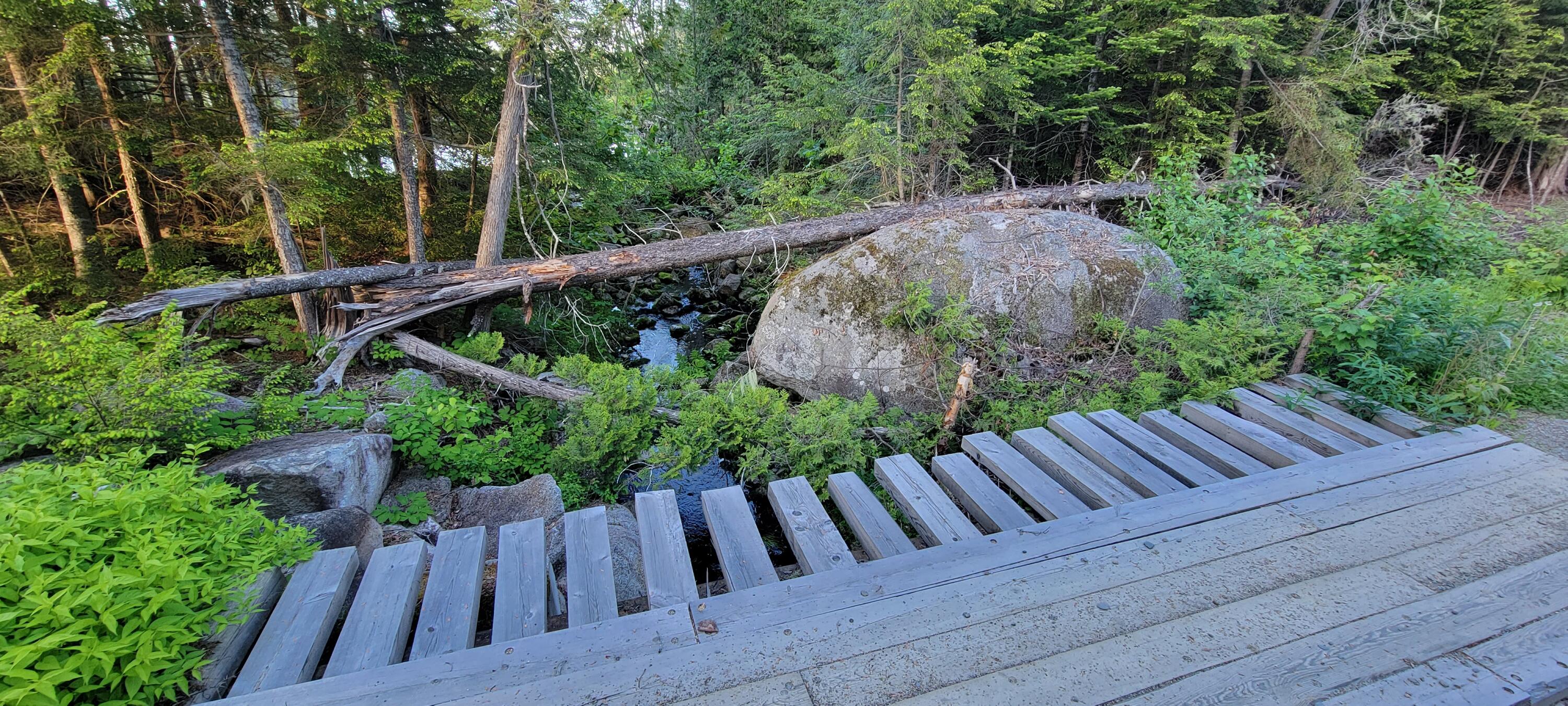 Lot 12 Little Stream Road Lincoln, ME 04457 - Photo 30 of 36 20220606_185732