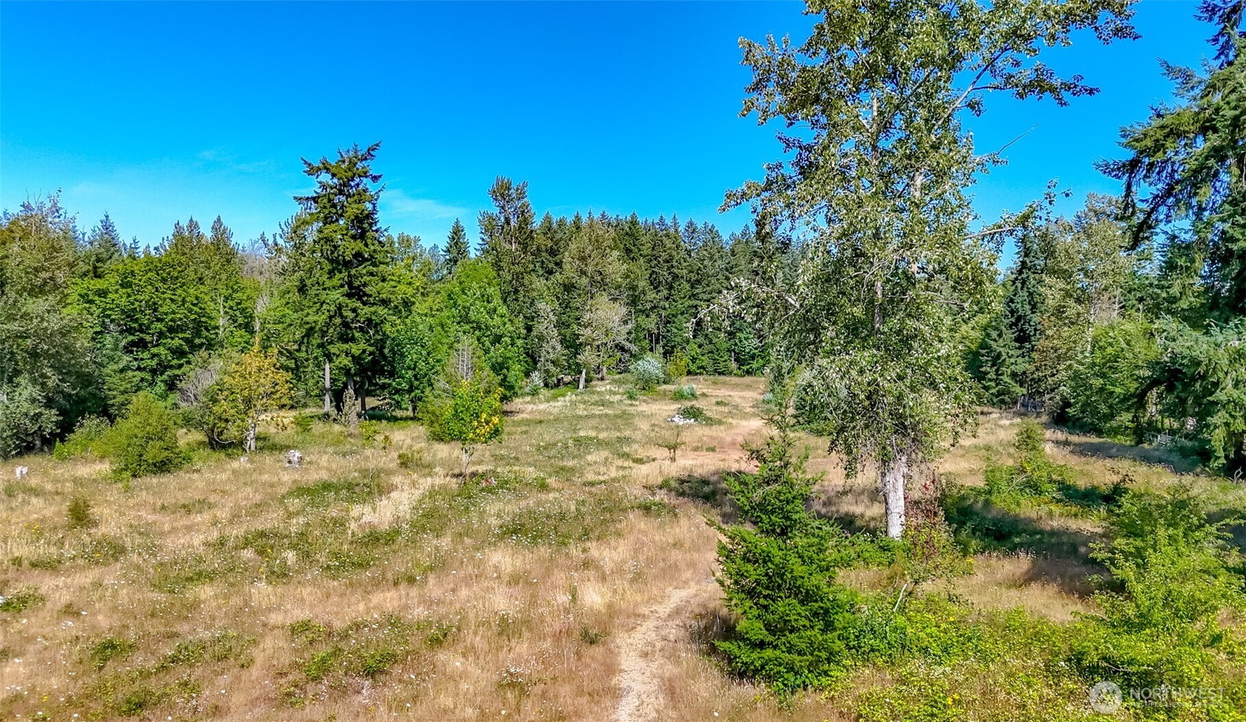 15724 Lawrence Lake Road Southeast Yelm, WA 98597 - Photo 32 of 35