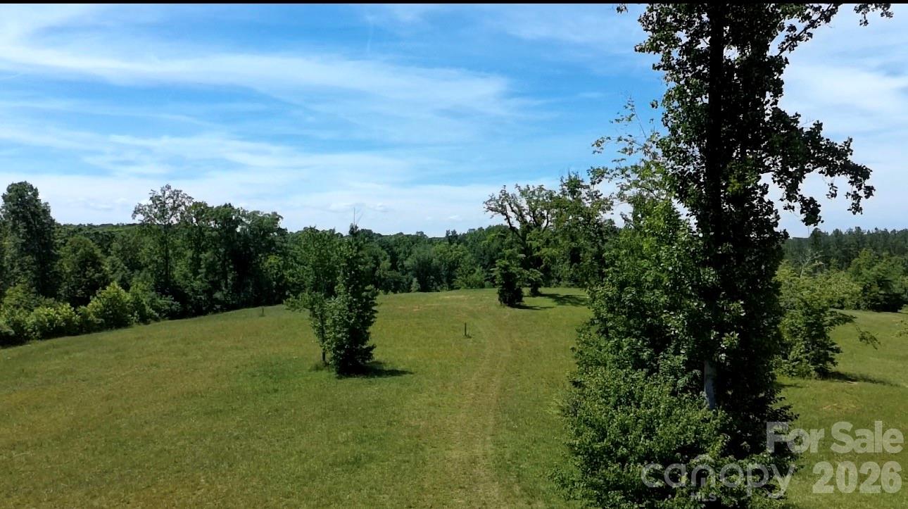473 McEntire Road Tryon, NC 28782 - Photo 7 of 18