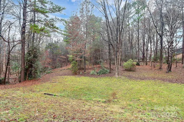 a view of a backyard with large trees