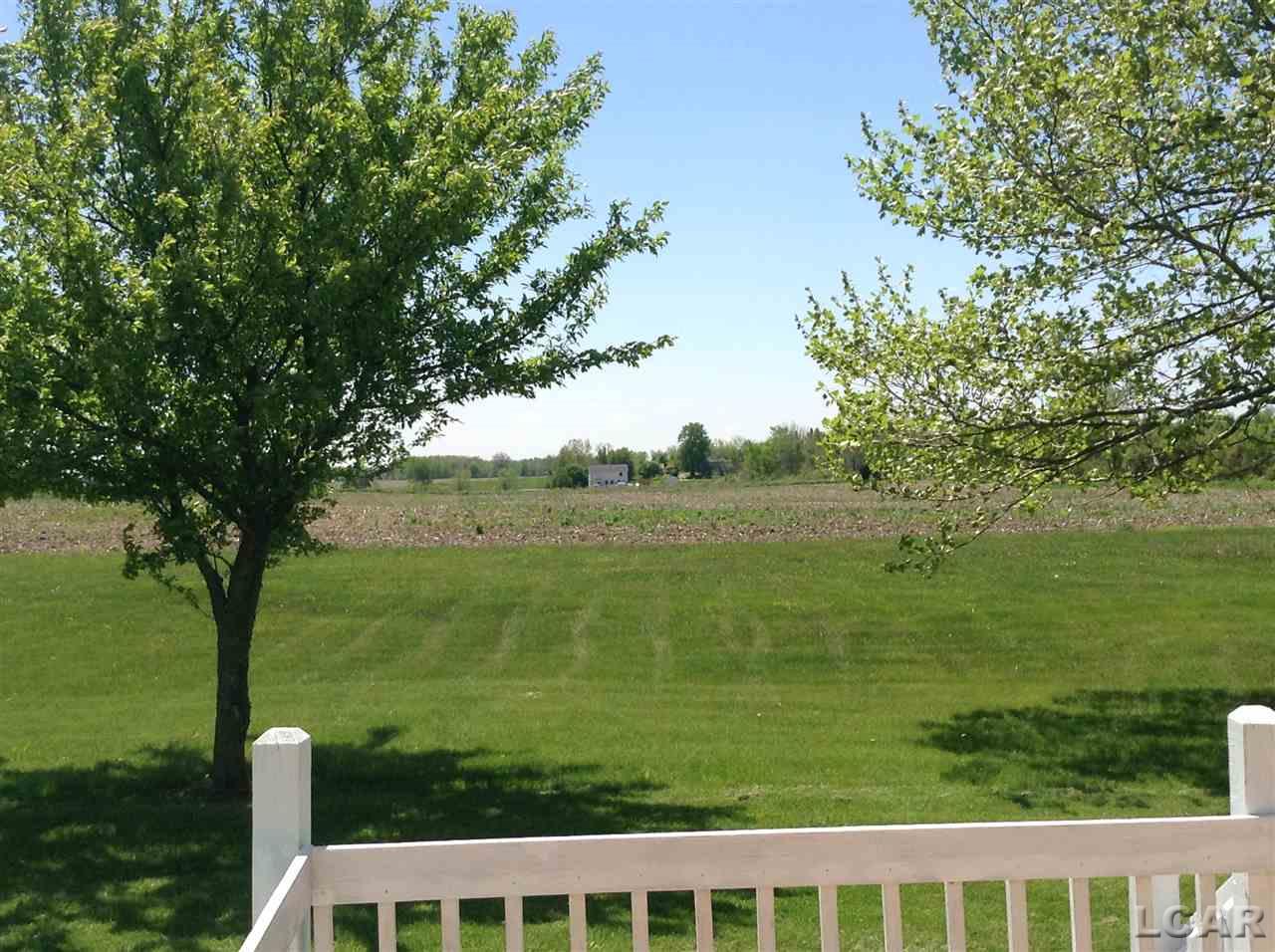 8069 Hoddinott Road Adrian, MI 49221 - Photo 7 of 36