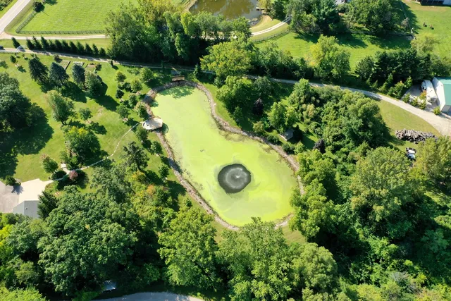 a view of a garden with plants