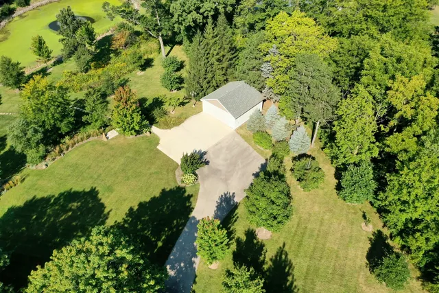 a close up of a plant in a garden