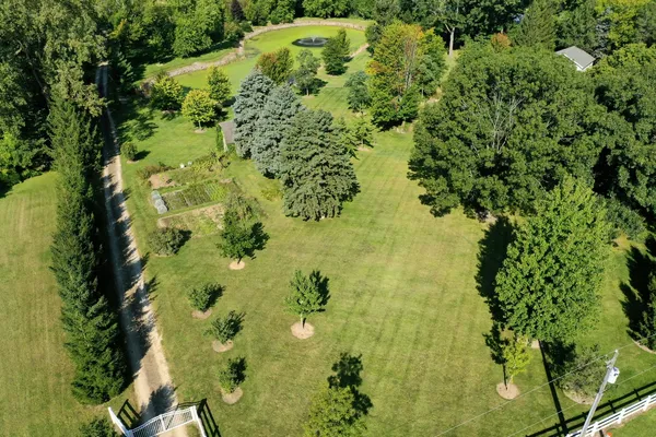 a view of a garden