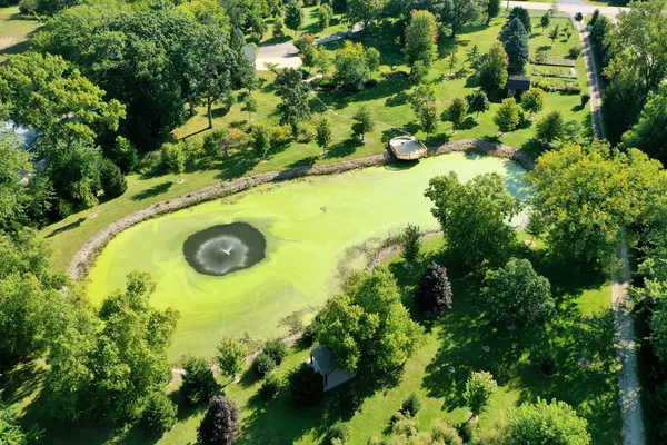 a view of a garden