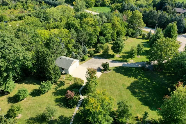 a view of a garden with plants