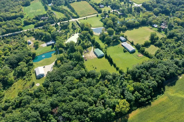 a view of a tree in a garden