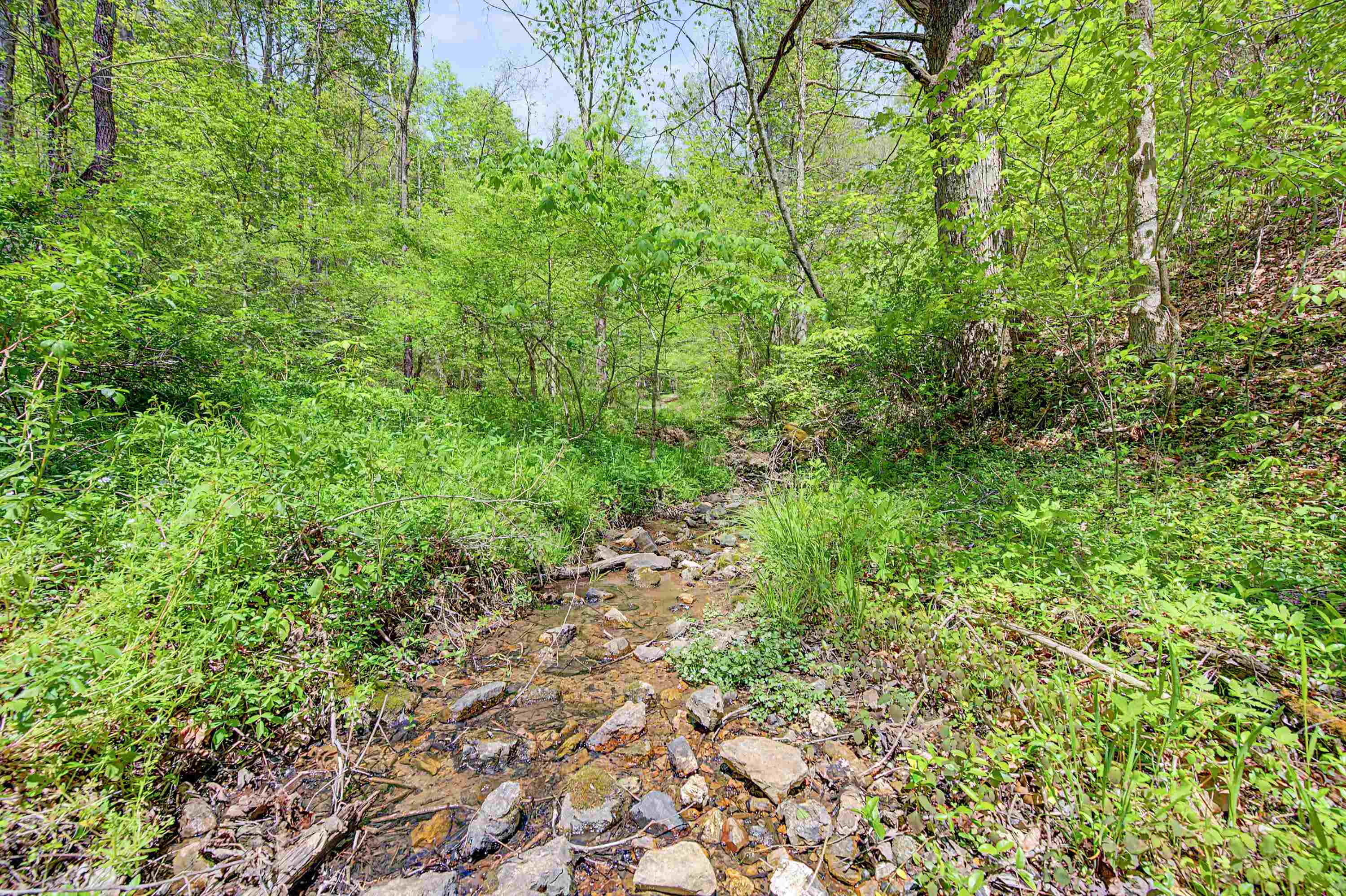 805 Sunset River Road Ceres, VA 24318 - Photo 60 of 78 Gallery Image 60