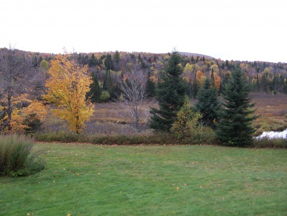 55 Vermont Rte 118 South Belvidere, VT 05442 - Photo 10 of 15