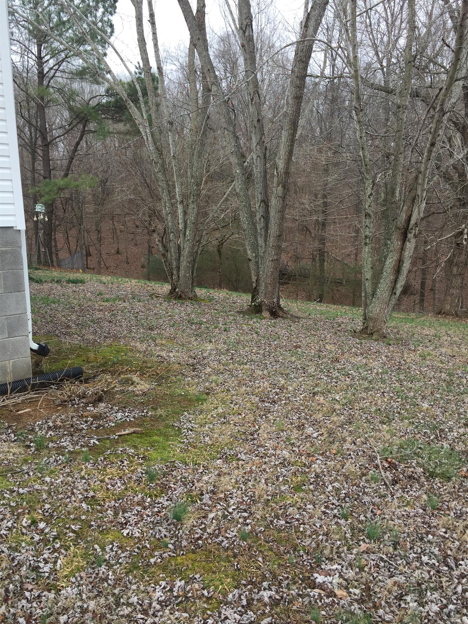 483 Joslin Branch Road White Bluff, TN 37187 - Photo 5 of 9 Gallery Image 5