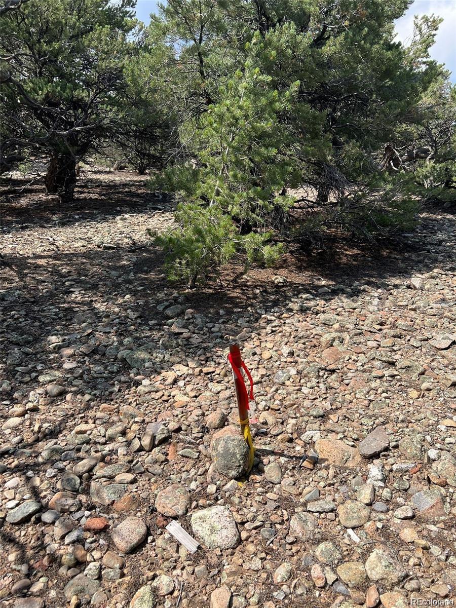 12240 Saddle Ridge Lane Salida, CO 81201 - Photo 12 of 13 a view of outdoor space and yard