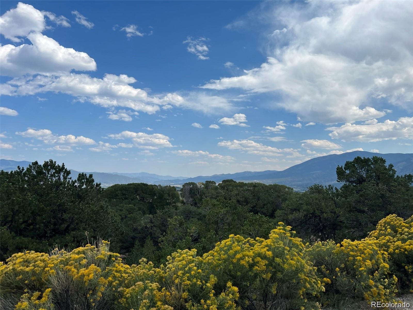 12240 Saddle Ridge Lane Salida, CO 81201 - Photo 4 of 13 a view of a bunch of flowers