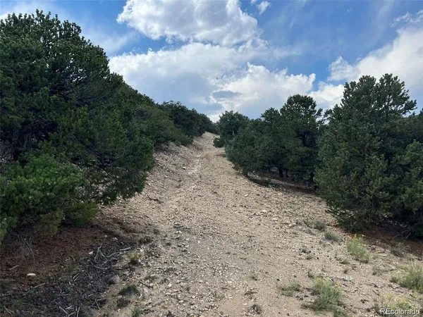 a view of a dirt road with trees in the background