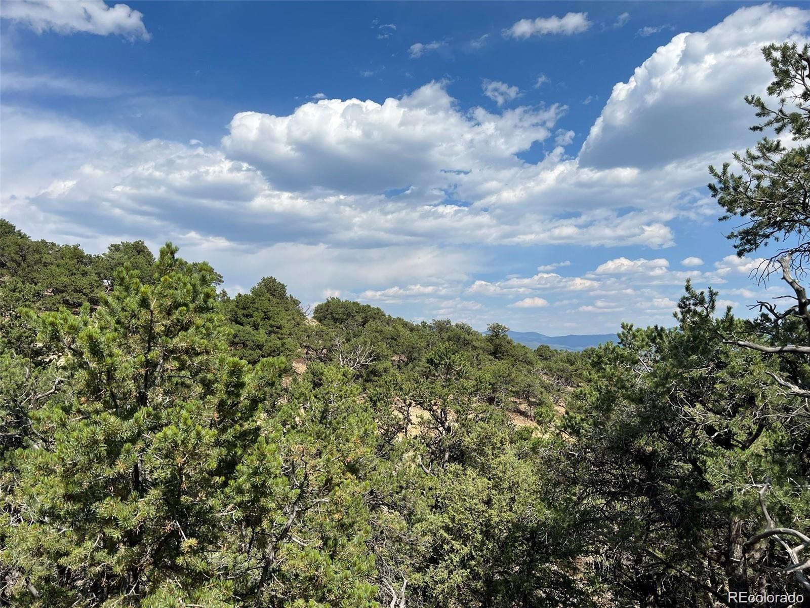 12240 Saddle Ridge Lane Salida, CO 81201 - Photo 7 of 13 a view of a bunch of trees