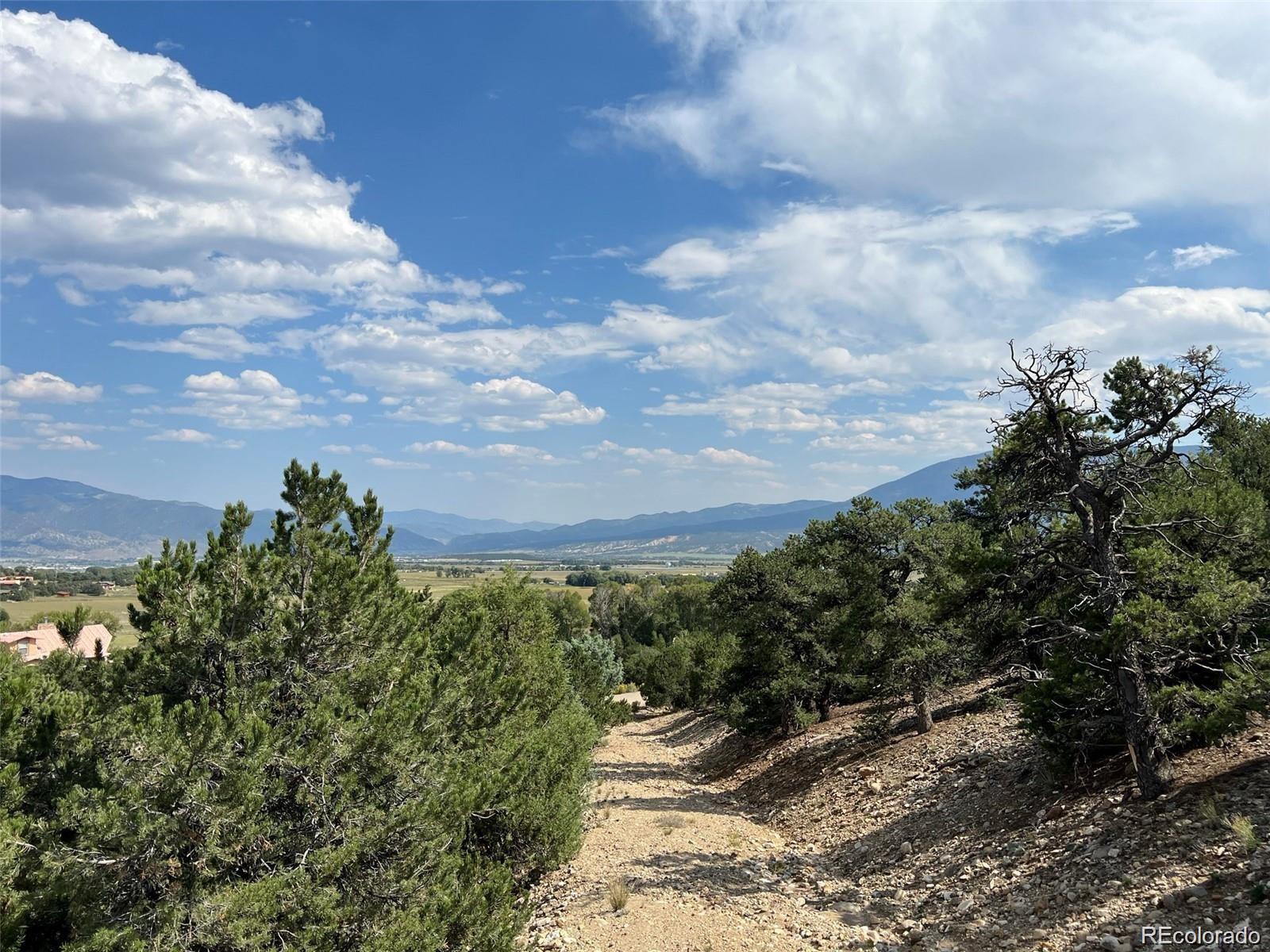 12240 Saddle Ridge Lane Salida, CO 81201 - Photo 9 of 13 a view of a yard with plants and a yard