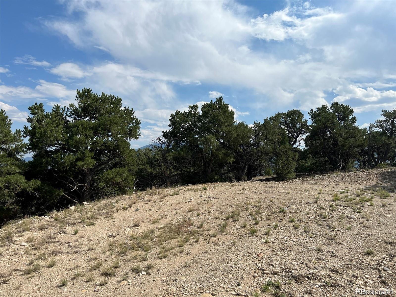 12240 Saddle Ridge Lane Salida, CO 81201 - Photo 10 of 13 a view of a yard covered in snow