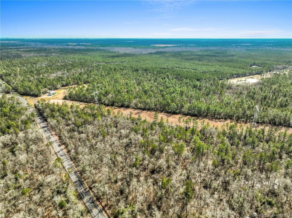 0 Old Hecker Road Iowa, LA 70647 - Photo 1 of 6