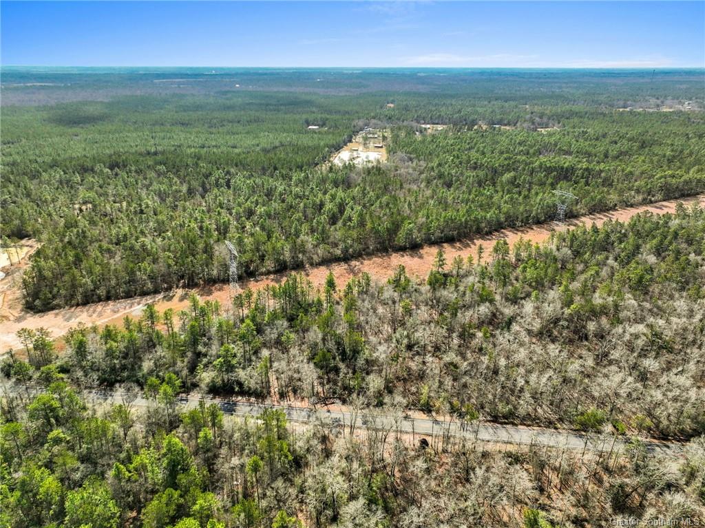 0 Old Hecker Road Iowa, LA 70647 - Photo 3 of 6