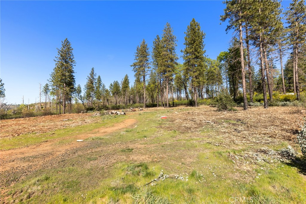 2922 Lost Ridge Way Oroville, CA 95965 - Photo 12 of 21 a view of yard covered with snow