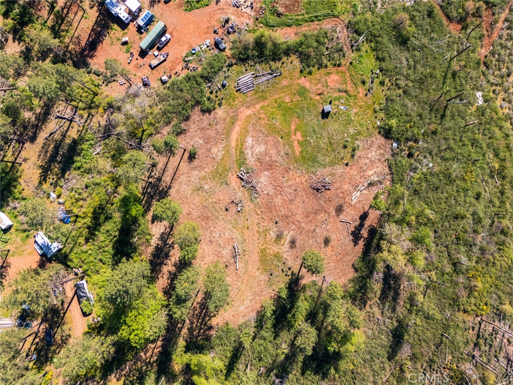 2922 Lost Ridge Way Oroville, CA 95965 - Photo 20 of 21 a view of a tree