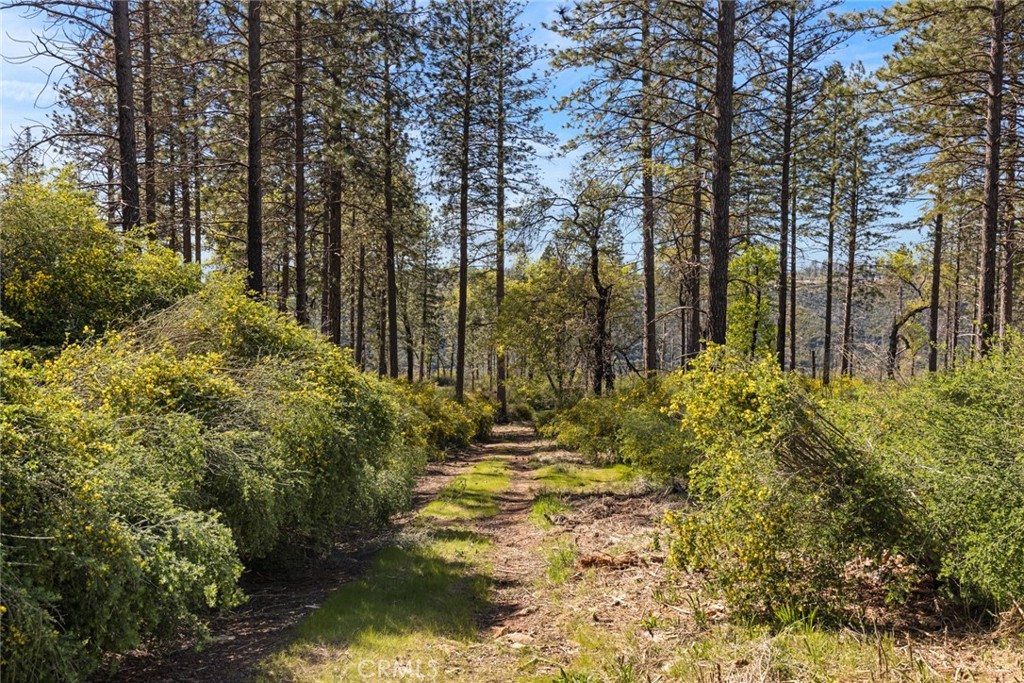 2922 Lost Ridge Way Oroville, CA 95965 - Photo 2 of 21 a view of lake view
