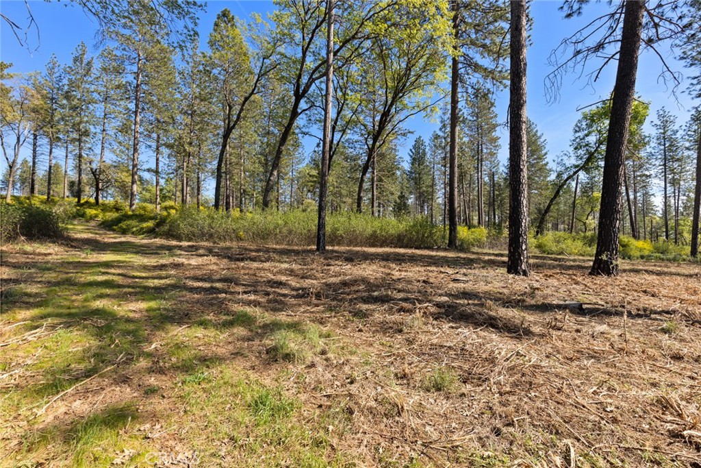 2922 Lost Ridge Way Oroville, CA 95965 - Photo 5 of 21 a view of outdoor space with deck and tree