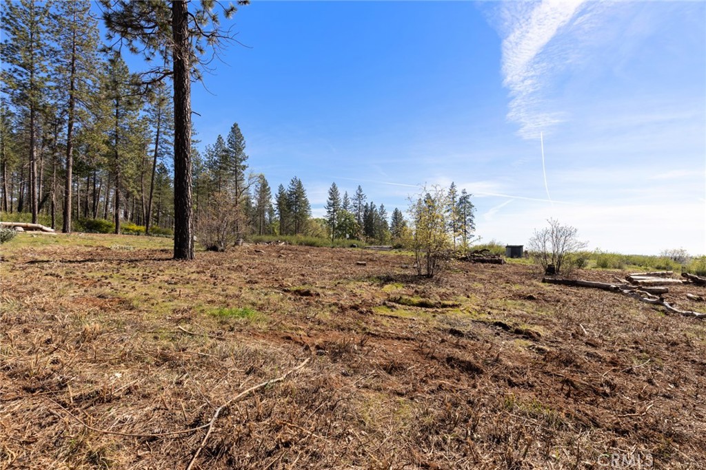 2922 Lost Ridge Way Oroville, CA 95965 - Photo 7 of 21 a view of outdoor space with trees