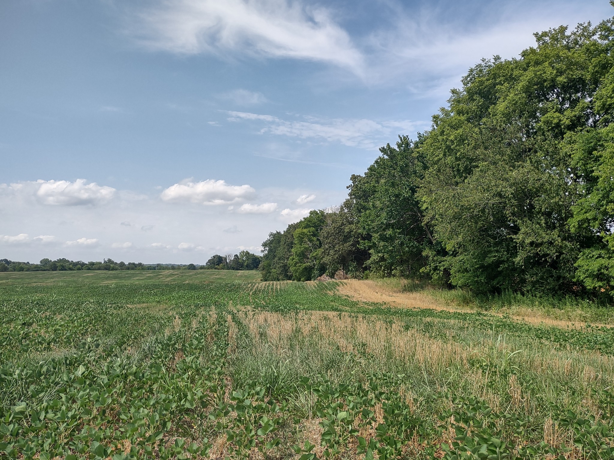 4020 Fizer Road Springfield, TN 37172 - Photo 2 of 3