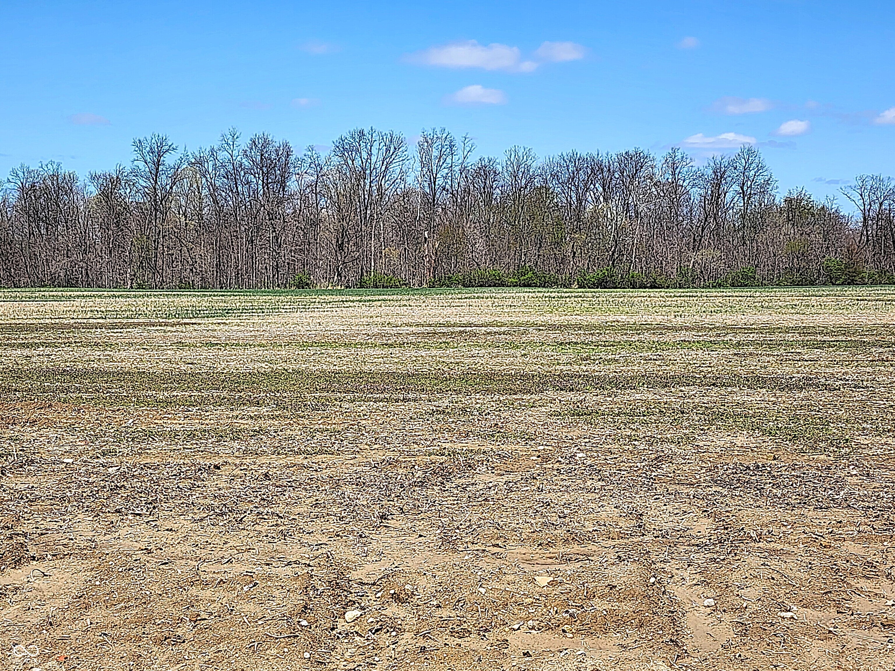 Lot 3 Legacy Estates Road Mooresville, IN 46158 - Photo 7 of 12