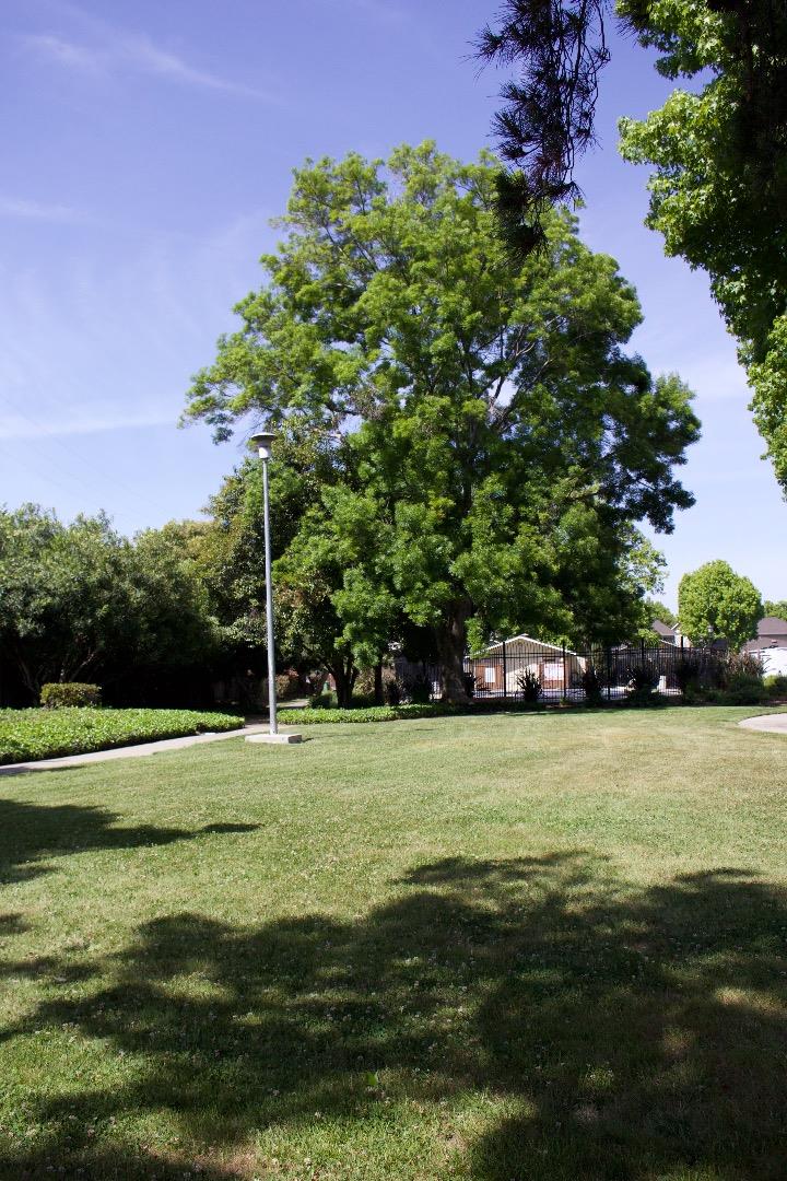 312 Rio Verde Place, Unit 3 Milpitas, CA 95035 - Photo 20 of 21 Gallery Image 20