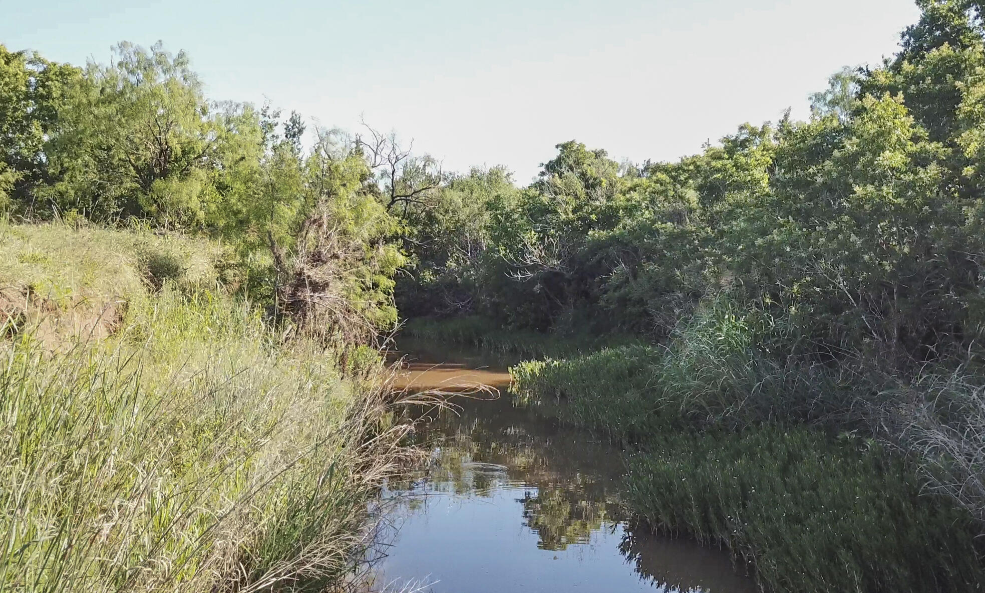 354 Co Road Winters, TX 79567 - Photo 2 of 23 Untitled-6